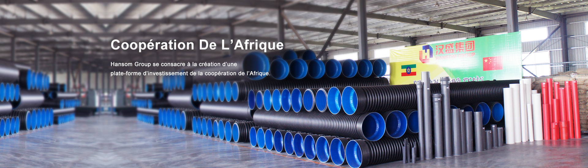 Coopération De I’Afrique